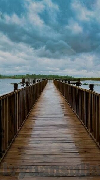 vlog com糖心官网-探索Vlog Com糖心官网，解锁创意与个性表达的新视界